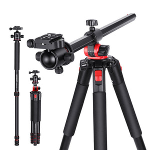 NEEWER 79 inch Camera Tripod Monopod