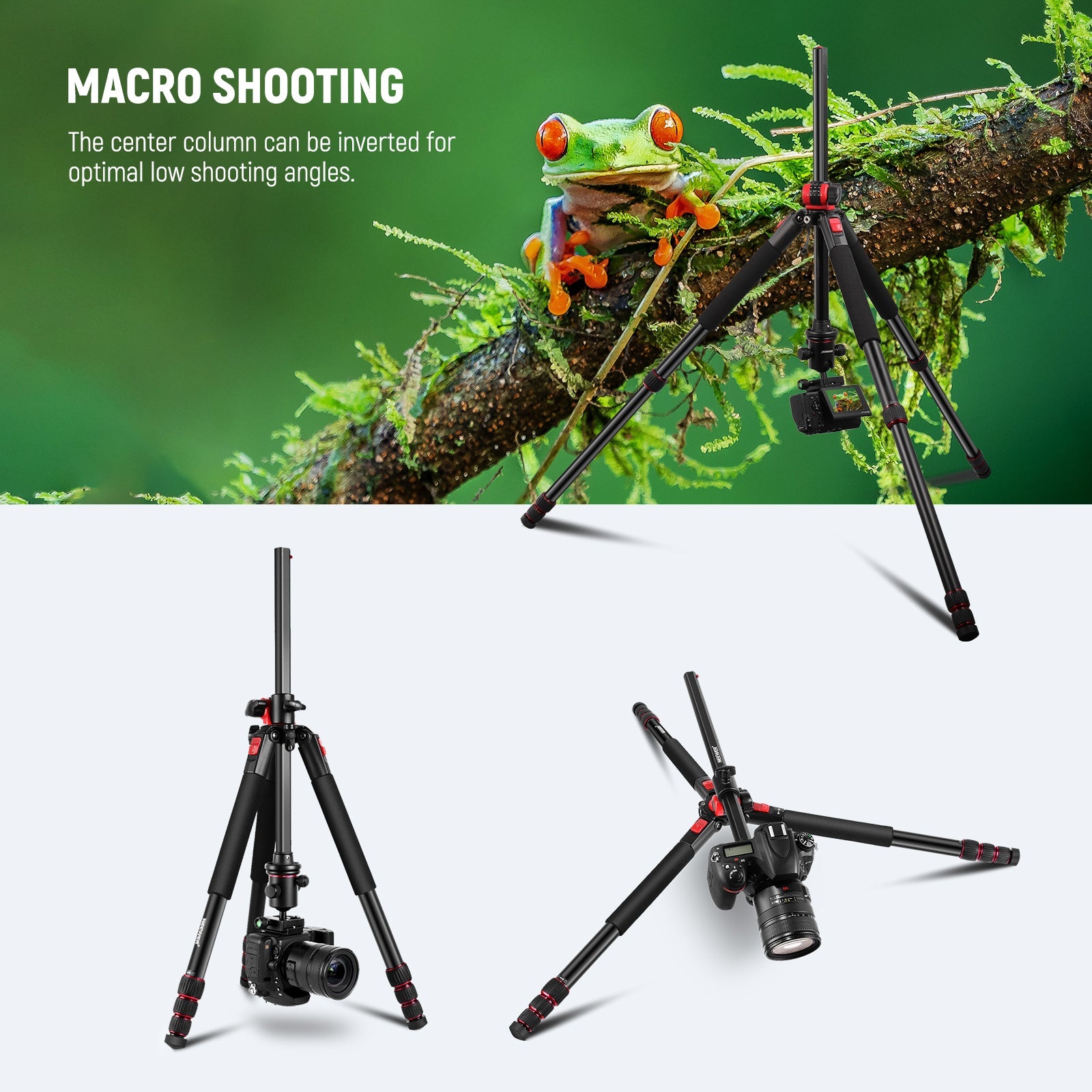 NEEWER 79 inch Camera Tripod Monopod - Techable