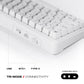 Akula 65 | Compact 65% Tri-Mode Gaming Keyboard