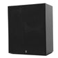 Theatrus T65 Dual 6.5" Monitor Speaker