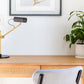CANVAS Focus Light