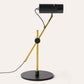 CANVAS Focus Light