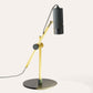 CANVAS Focus Light