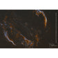 0.8x Focal Reducer