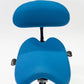 Advanced  Saddle with Backrest