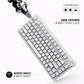 Nighthawk 75 | TKL Tri-Mode Gaming Keyboard