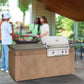 American Outdoor Grill T-Series 24-Inch Built-In Gas Grill with Backburner and Rotisserie