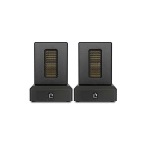 DST Dual Firing AMT Super Tweeter Pair