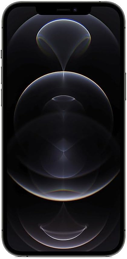 iPhone 12 Pro Max Graphite | Techable