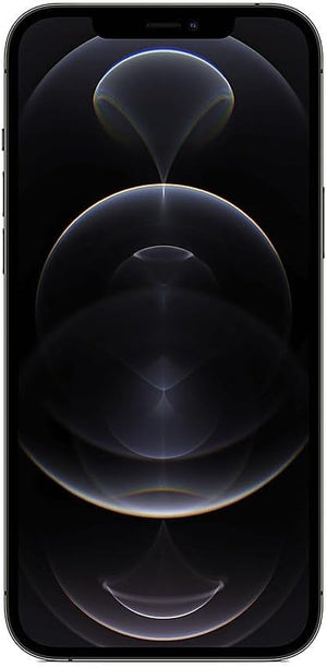 iPhone 12 Pro Max Graphite | Techable
