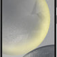 OtterBox POLYARMOR SERIES Screen Protector for Galaxy S24 Ultra - Clear (New)