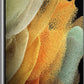 Samsung Galaxy S21 Ultra 5G 128GB (Unlocked) - Phantom Silver (Used)