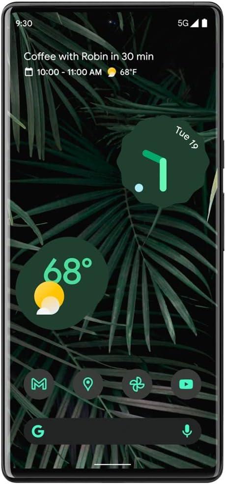 Google Pixel 6 Pro 5G 256GB (Unlocked) - Stormy Black (Used) - Techable