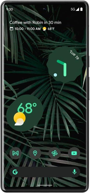 Google Pixel 6 Pro 5G 256GB (Unlocked) - Stormy Black (Used) - Techable