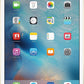 Apple iPad Mini 4th Gen, 7.9-inch, 32GB, WIFI + Unlocked All Carriers - Gold (Refurbished)