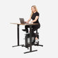 W1B 3 IN 1 Foldable Exercise Bike, Under Desk Bike