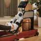 WM10 Tri-fold Water Rowing Machine