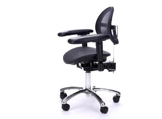 STP Platinum Ergonomic Office Chair