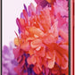 Samsung Galaxy S20 FE 5G - 128GB (Unlocked) - Cloud Red (Refurbished) - Techable