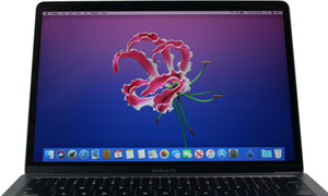 2017 Apple MacBook Pro 13-Inch Core i5 2.3GHz-3.6GHz 8GB RAM MPXQ2LL/A (Space Grey)