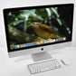 Apple iMac (21.5-inch 2019) 3.6 GHz i3 8GB 1TB HDD (Silver) - Techable